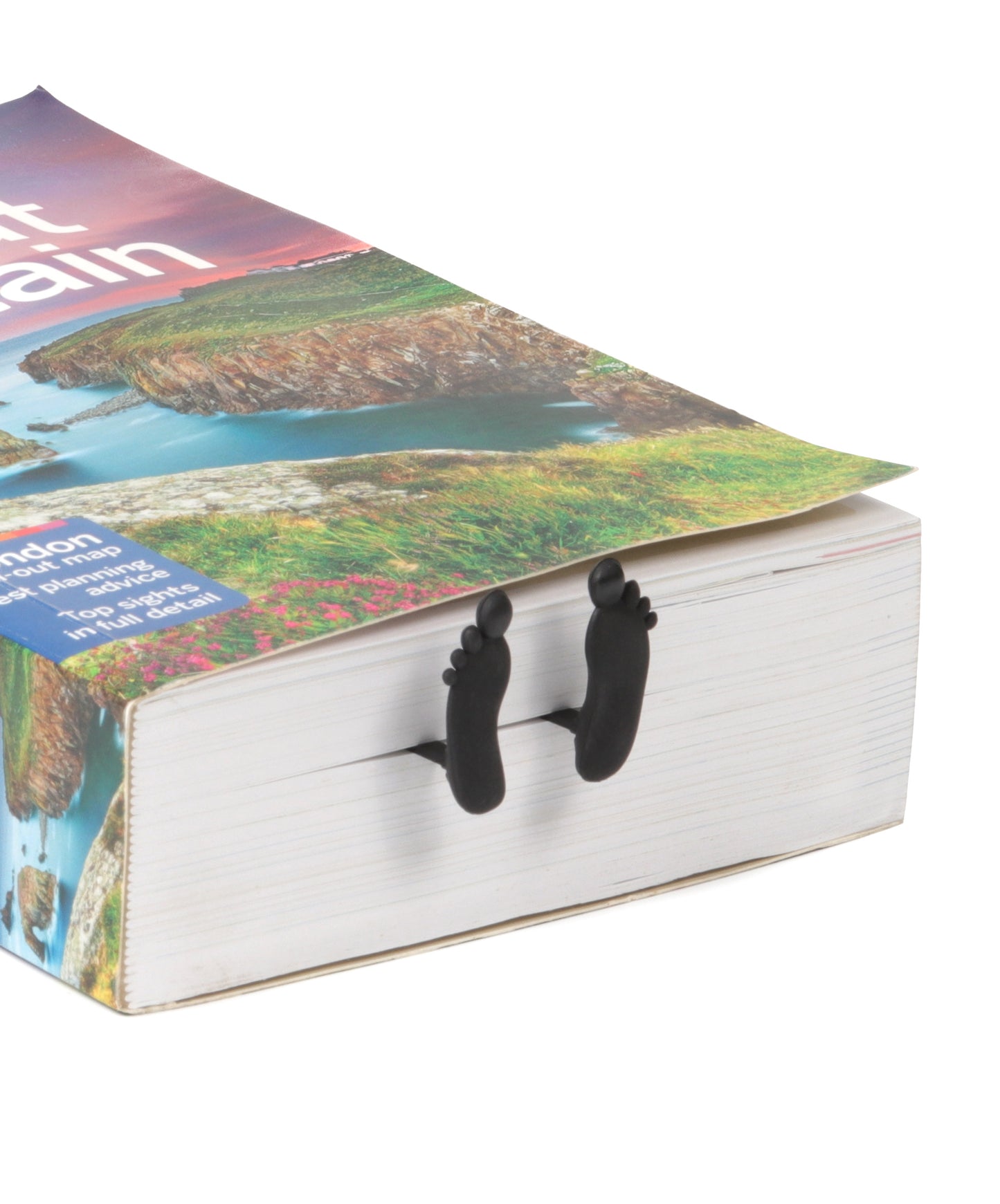 Steti innovative 3D Bookmark, Einstein
