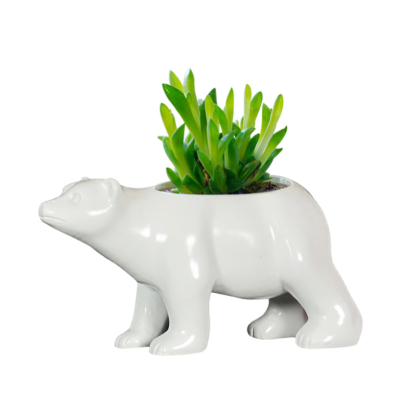 Steti Ceramic Planter, Berlin Bear