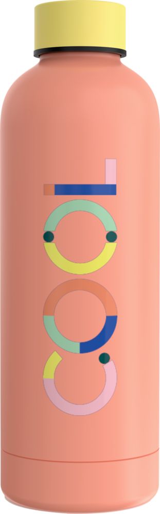 Insulated water bottle