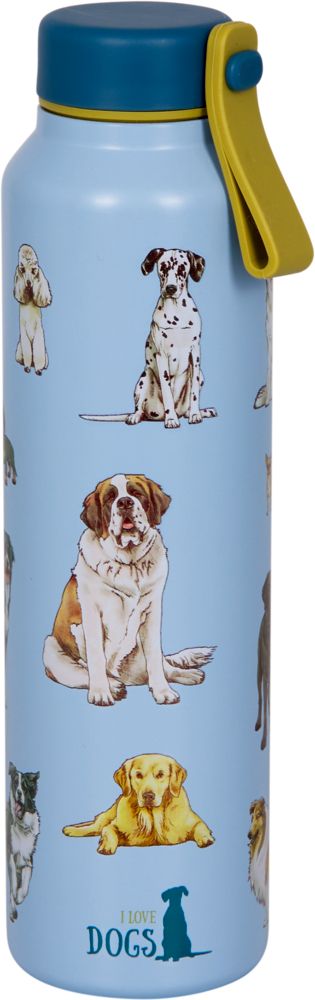 Insulated water bottle