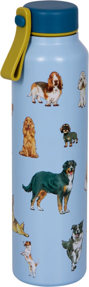 Insulated water bottle