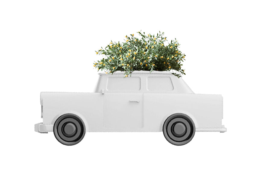 Steti Ceramic Planter, Car